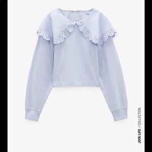 ZARA Embroidery eyelet sweater